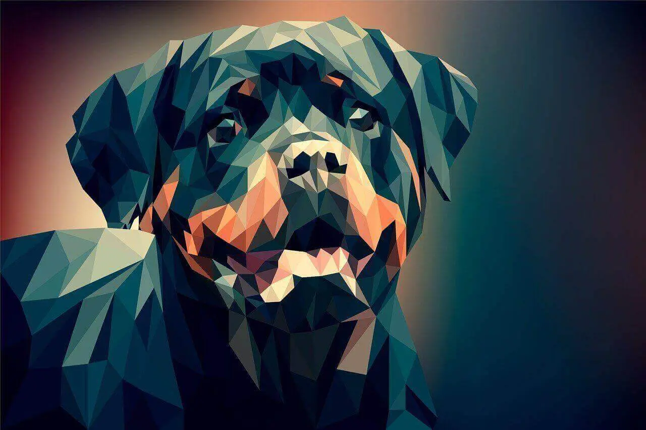 Rottweiler pitbull mix