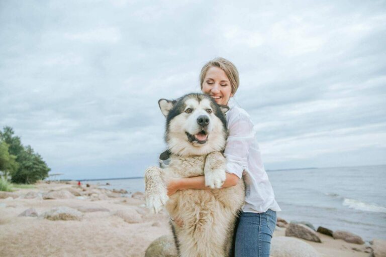 Why Does My Dog Stand Over Me? Top 7 Reasons, How To Stop