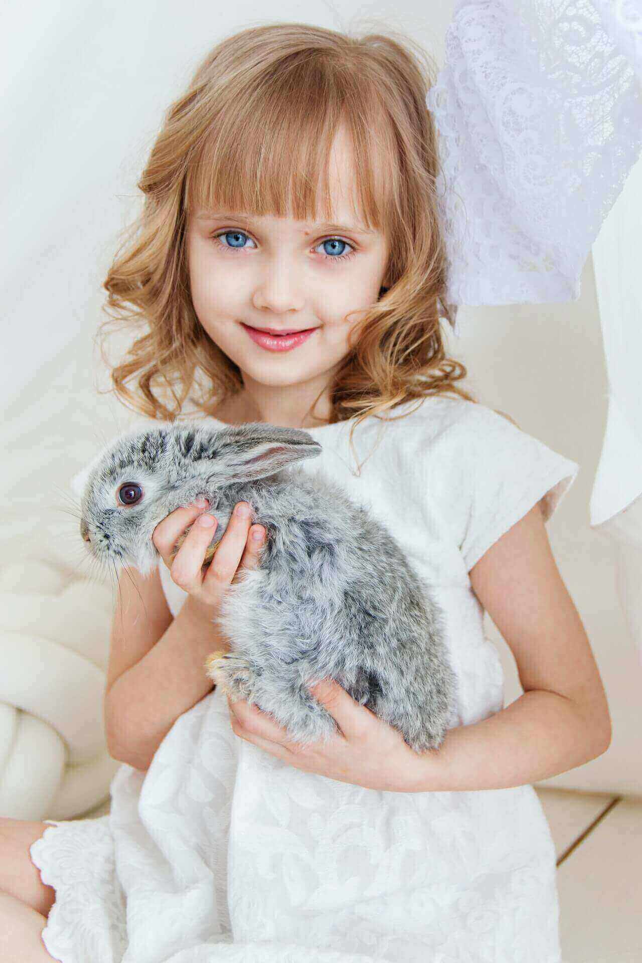 holland-lop-prices-2023-purchase-cost-supplies-and-more