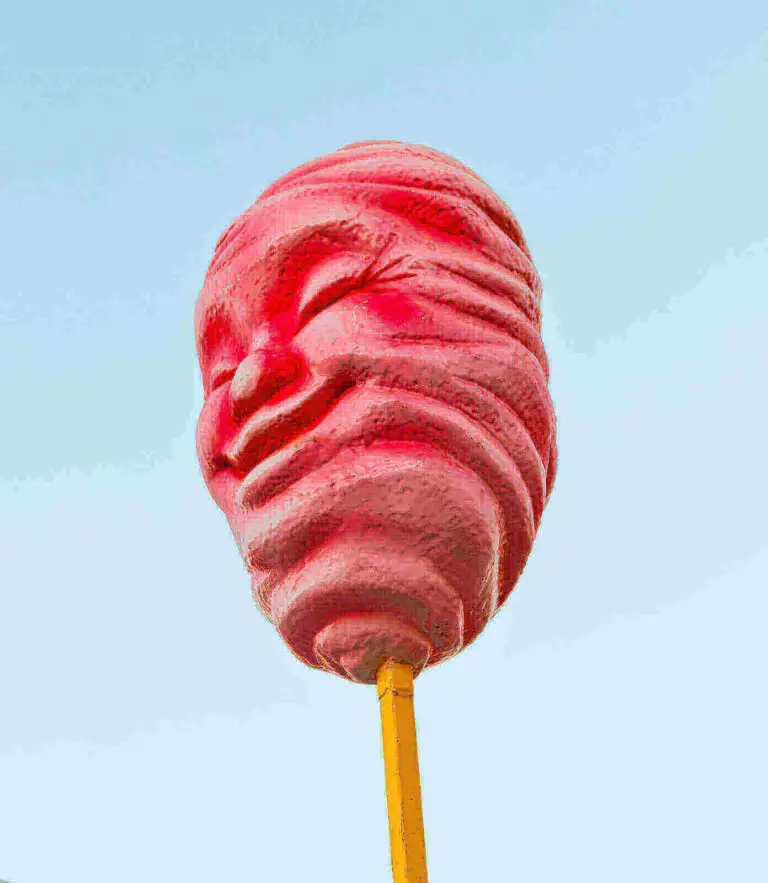 Can Dogs Eat Cotton Candy? (3 Menacing Symptoms) 2024