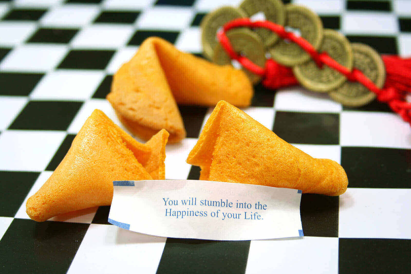 Can Dogs Eat Fortune Cookies - Can Dogs Have Fortune Cookies