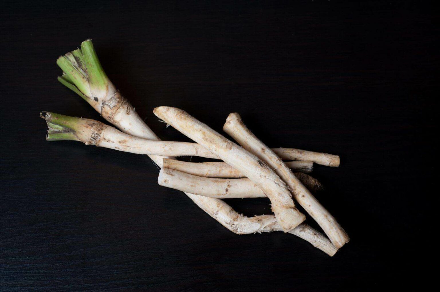 Can Dogs Eat Horseradish? (7 Menacing Health Issues!)