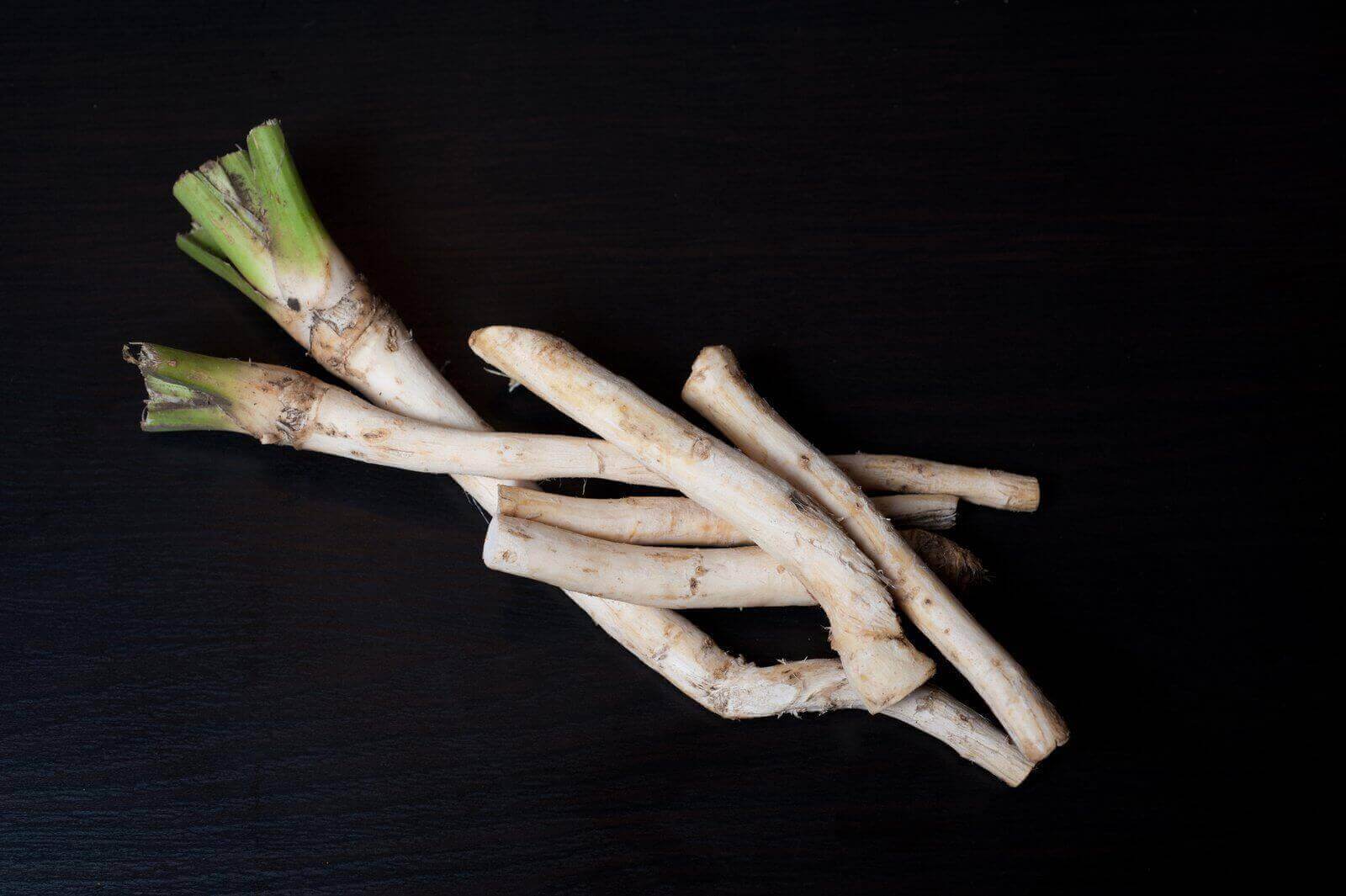 Can Dogs Eat Horseradish? (7 Menacing Health Issues!)