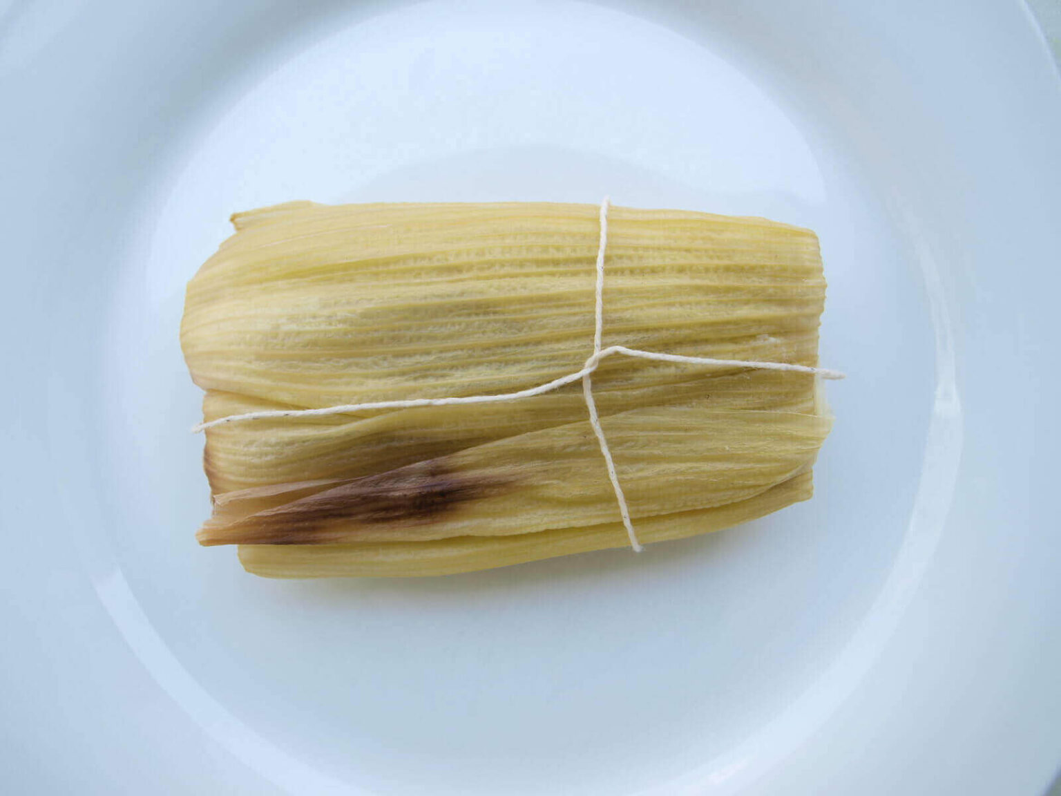 Can Dogs Eat Tamales? My Dog Ate Tamale (3 Menacing Symptoms)