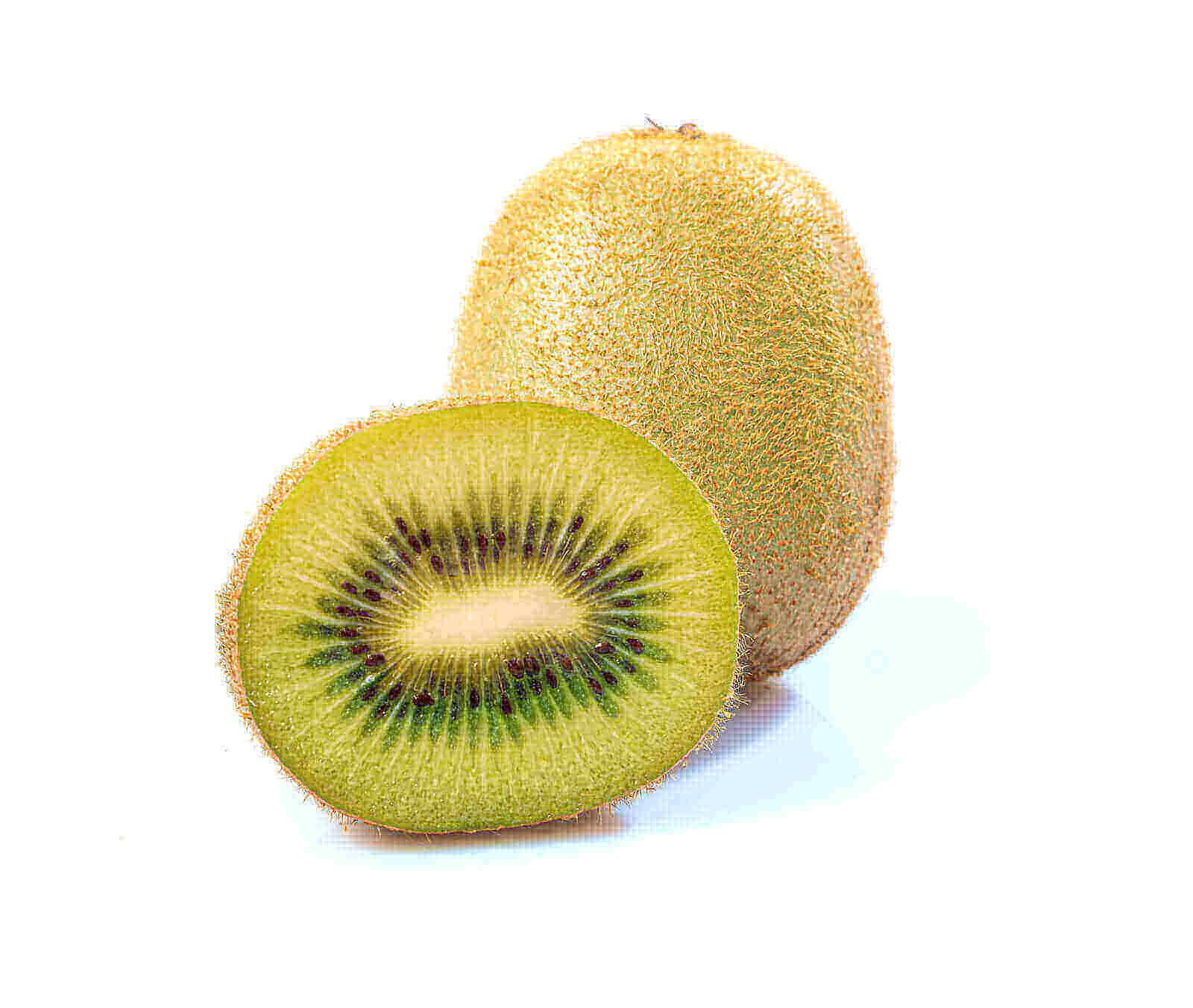 guinea pig kiwi fruit