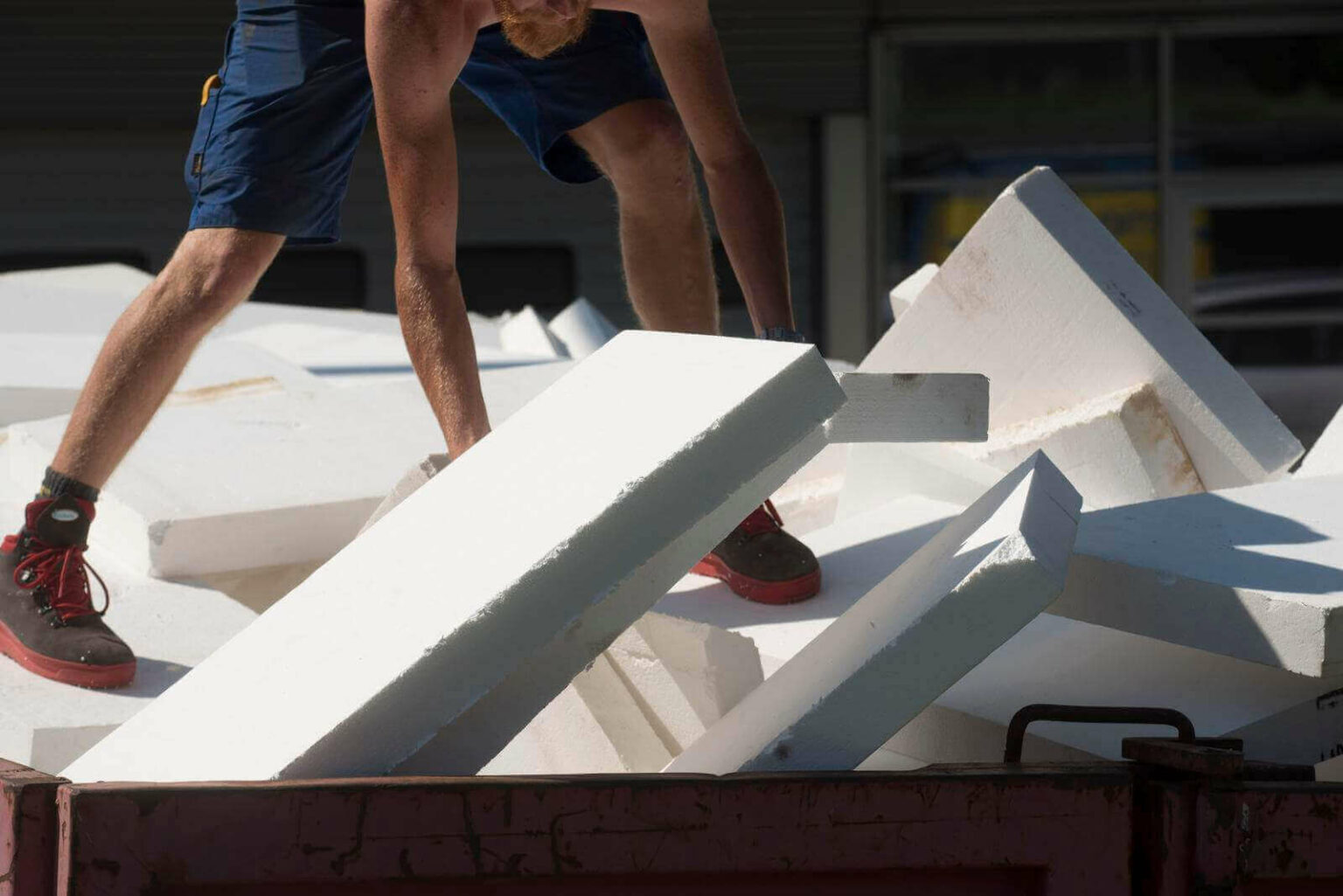 Cat Ate Styrofoam Can Cats Have Styrofoam? 5 Ways To Treat Menacing