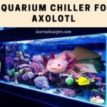 Aquarium Chiller For Axolotl