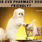 Is CVS Dog Friendly? 7 Cool Tips From Pet Policy