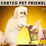 Is Costco Pet Friendly? Does Costco Allow Dogs? 7 Cool Tips From Pet Policy
