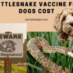 Rattlesnake Vaccine For Dogs Cost : 7 Interesting Facts