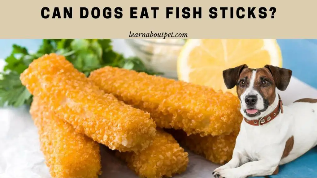 Can Dogs Eat Fish Sticks? 5 Safe Ways To Cook Fish Sticks At Home