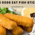 Can Dogs Eat Fish Sticks? 5 Safe Ways To Cook Fish Sticks At Home