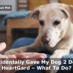 Accidentally Gave My Dog 2 Doses Heartgard : 17 Menacing Side Effects