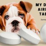 My Dog Ate Airborne Tablets