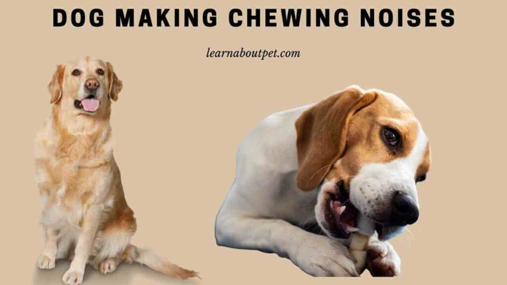 Dog making chewing noises