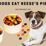 Can Dogs Eat Reese's Pieces