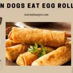 Can Dogs Eat Egg Rolls? (9 Interesting Facts)