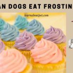 Can Dogs Eat Frosting? (4 Menacing Dog Health Risks)