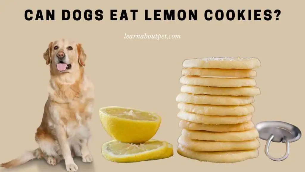 Can dogs eat lemon cookies