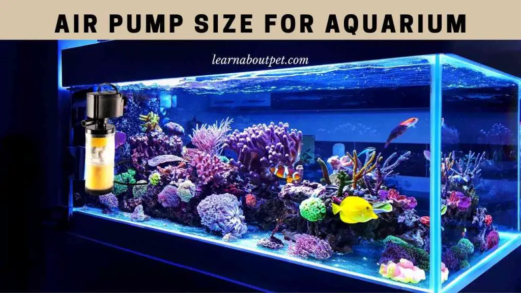 Air pump size for aquarium