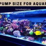 Air Pump Size For Aquarium : How To Determine? (7 Clear Factors)