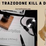 Can Trazodone kill a dog