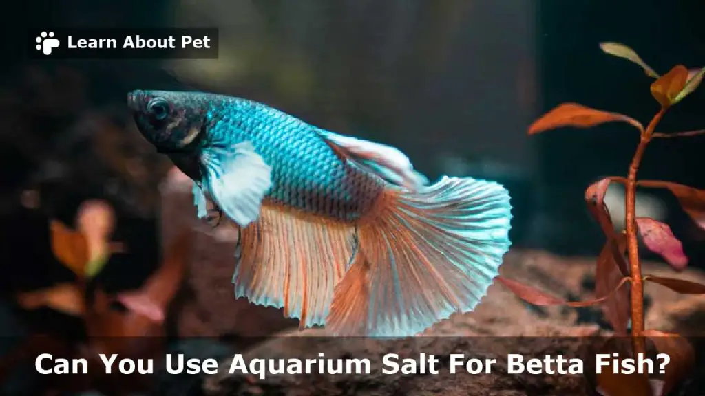 Aquarium salt for betta fish