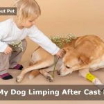 Dog Limping After Cast Removal : (9 Menacing Facts)