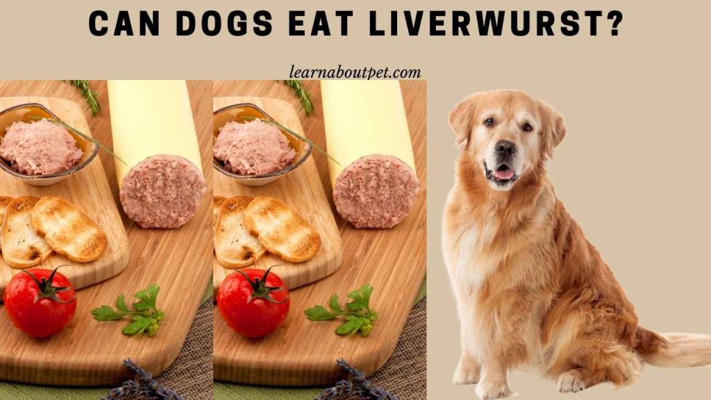 Can dogs eat liverwurst