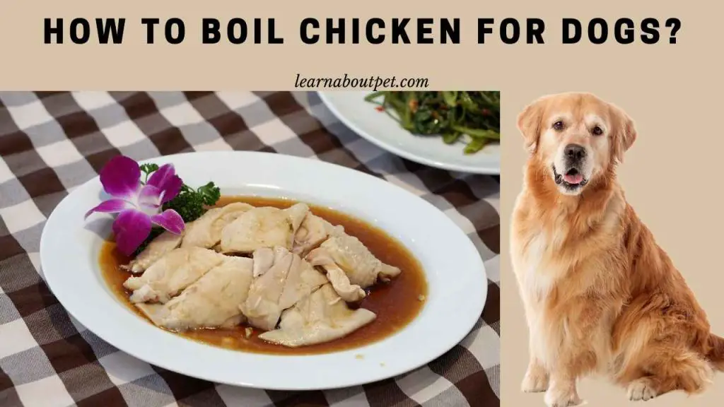 How to boil chicken for dogs