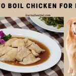 How To Boil Chicken For Dogs? (9 Interesting Facts) How to boil chicken for dogs