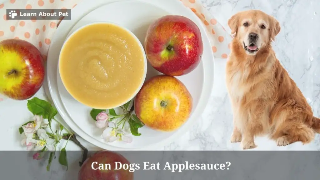 Is applesauce safe for dogs to eat for constipation