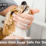 Is Dawn Dish Soap Safe For Dogs