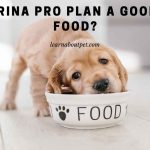 Is Purina Pro Plan A Good Dog Food? (9 Clear Facts)
