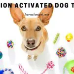 Moving Dog Toys : 9 Best Motion Activated Dog Toys