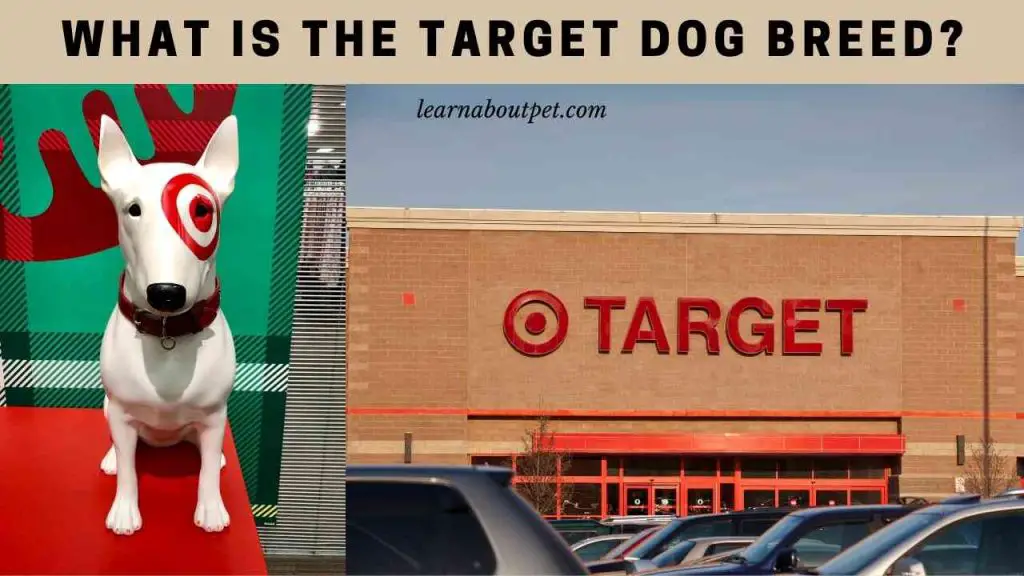 Target dog breed