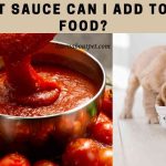 What Sauce Can I Add To Dog Food? 7 Great Dog Foods What sauce can I add to dog food