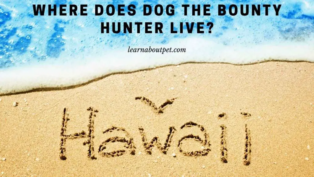 Where does dog the bounty hunter live