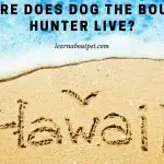 Where Does Dog The Bounty Hunter Live? (7 Cool Facts)