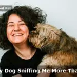 Why Is My Dog Sniffing Me More Than Usual? 7 Clear Facts