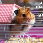 Are Bin Cages Safe For Hamsters And Other Animals? 7 Clear Facts