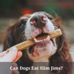 Can Dogs Eat Slim Jims? (9 Interesting Facts) Can dogs eat Slim Jims