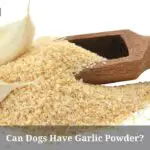 Can Dogs Have Garlic Powder? Is Garlic Powder Bad For Dogs? 7 Clear Facts
