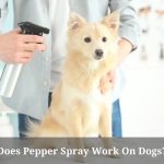 Does Pepper Spray Work On Dogs? (7 Clear Facts) Does pepper spray work on dogs