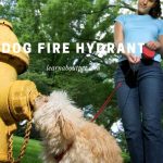 Dog Fire Hydrant