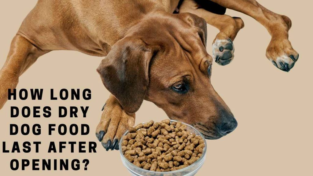How long does dry dog food last after opening