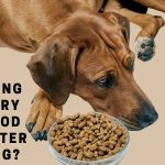 How Long Does Dry Dog Food Last After Opening? 9 Clear Facts