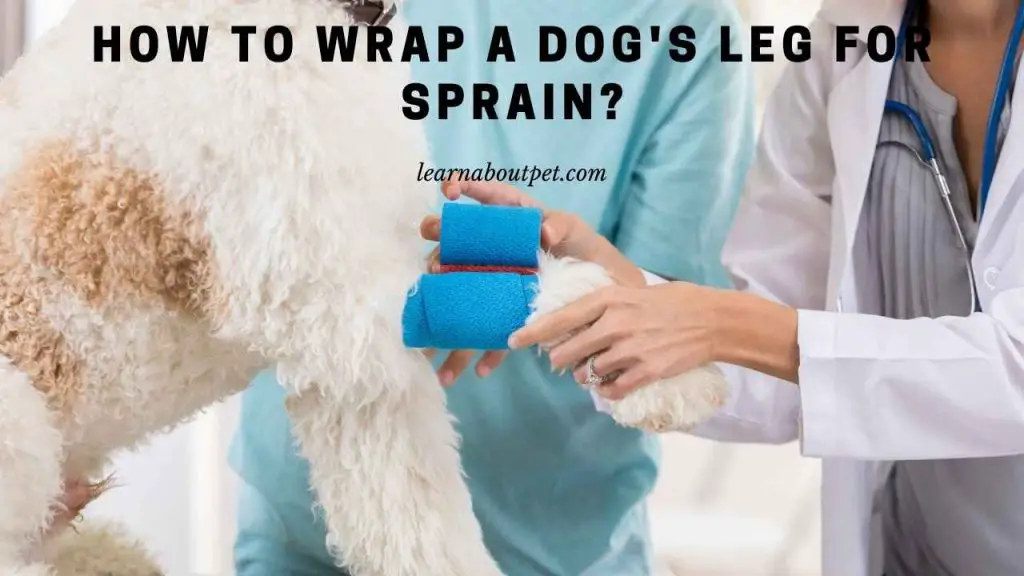 How to wrap a dog's leg for sprain