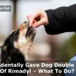 Accidentally Gave Dog Double Dose Of Rimadyl : 7 Real Facts