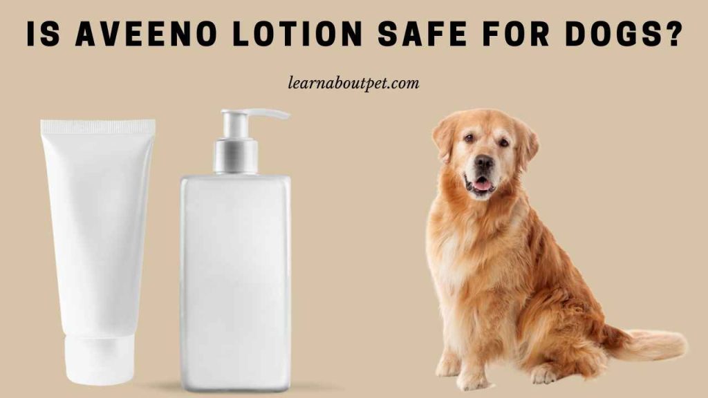 Is aveeno lotion safe for dogs